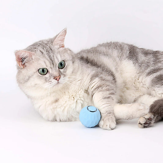 Cat Interactive Ball - PP38