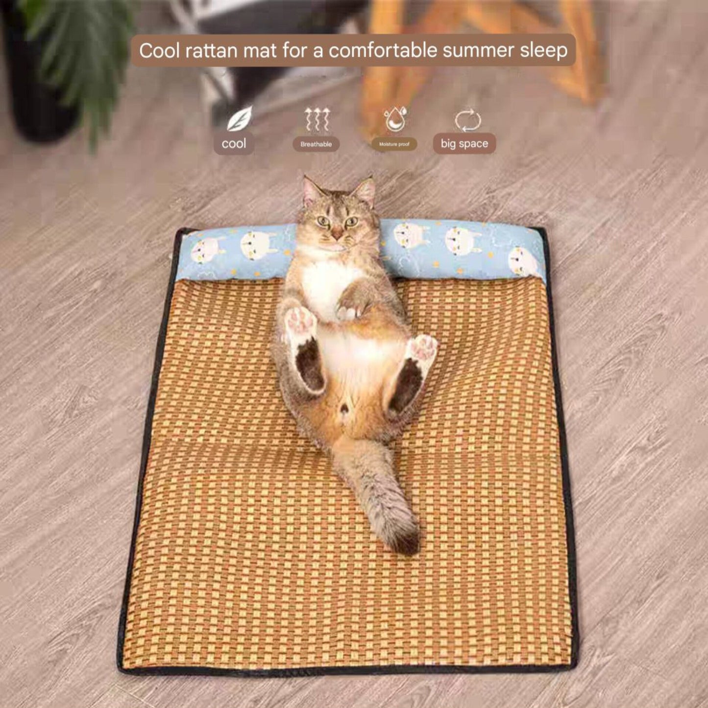 Pet Cool Mat For Summer