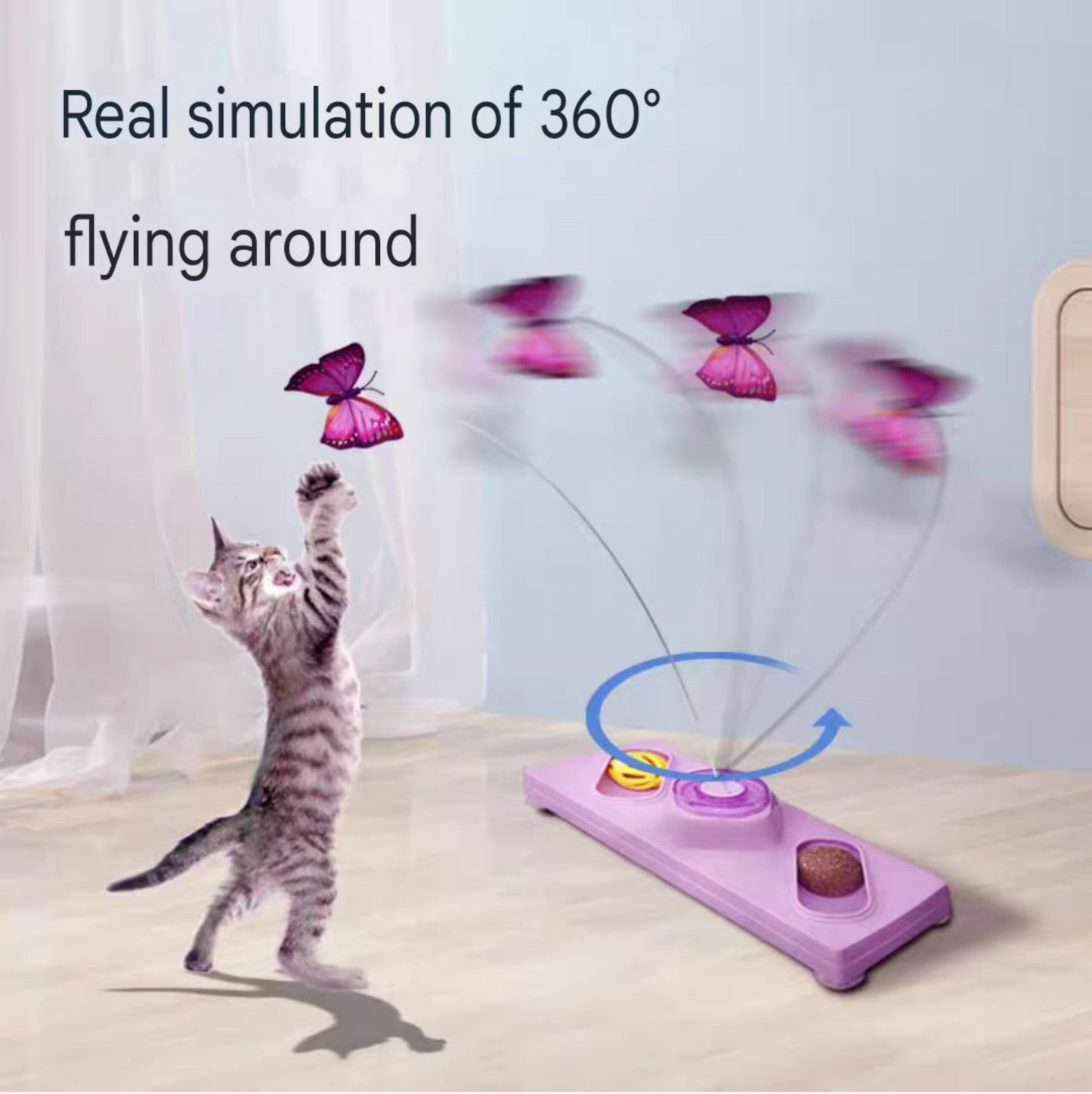 Self Entertainment Cat Toy